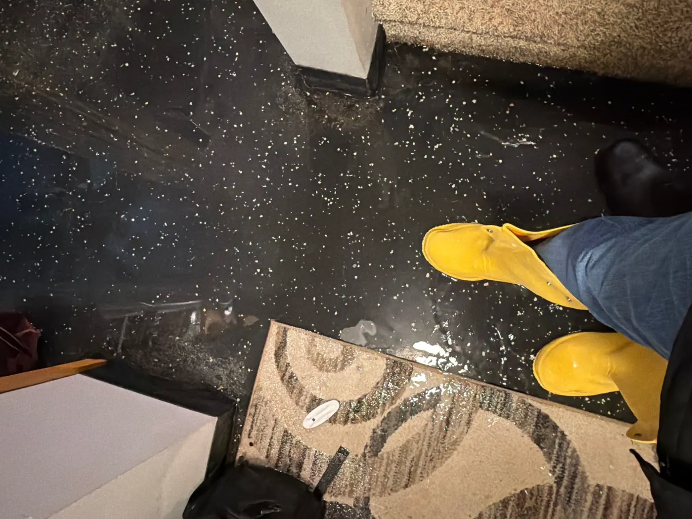 Documented commercial restoration in Cicero, IN